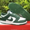 Nike Sb (Green_White)