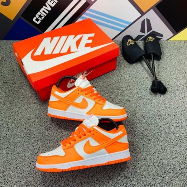Nike Sb (Orange_White)
