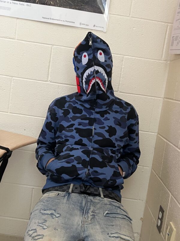 Pull Over Avec capuche en coton BaPe (Blue)